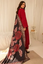 3 PC BORING EMBROIDERED DHANAK SUIT-SW586 - Image 5