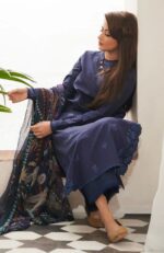 EMBROIDERED DHANAK 3PC SUIT-SW330 - Image 3