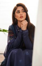 EMBROIDERED DHANAK 3PC SUIT-SW330 - Image 2