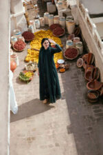 3 PC EMBROIDERED DHANAK SUIT - SW813 - Image 3