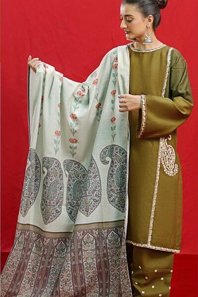 3 PC EMBROIDERED DHANAK SUIT - SW826